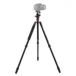 ขาตั้งกล้องอลูมิเนียมแบบพกพาปรับได้ Triopo MT-2504C พร้อมหัวบอล NB-1S สำหรับกล้อง DSLR Canon Nikon Sony, MT-2504C (สีดำ), MT-2504C (สีทอง)