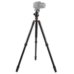ขาตั้งกล้องอลูมิเนียมแบบพกพาปรับได้ Triopo MT-2804C พร้อมหัวบอล NB-2S สำหรับกล้อง DSLR Canon Nikon Sony, MT-2804C (สีดำ), MT-2804C (สีทอง)