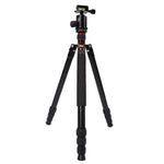 ขาตั้งกล้องอลูมิเนียมแบบพกพาปรับได้ Triopo MT-2804C พร้อมหัวบอล NB-2S สำหรับกล้อง DSLR Canon Nikon Sony, MT-2804C (สีดำ), MT-2804C (สีทอง)
