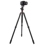 ขาตั้งกล้องอลูมิเนียมแบบพกพาปรับได้ Triopo MT-2804C พร้อมหัวบอล NB-2S สำหรับกล้อง DSLR Canon Nikon Sony, MT-2804C (สีดำ), MT-2804C (สีทอง)