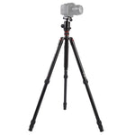 ขาตั้งกล้องอลูมิเนียมแบบพกพาปรับได้ Triopo MT-2804C พร้อมหัวบอล NB-2S สำหรับกล้อง DSLR Canon Nikon Sony, MT-2804C (สีดำ), MT-2804C (สีทอง)