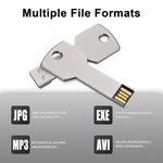 แฟลชไดรฟ์ USB แบบกุญแจ 2GB, 1GB, 2GB, 4GB, 8GB
