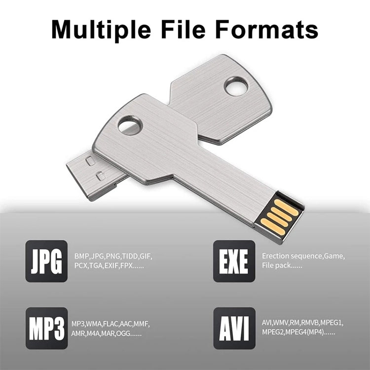 แฟลชไดรฟ์ USB แบบกุญแจ 2GB, 1GB, 2GB, 4GB, 8GB