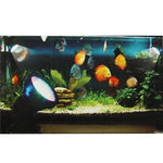 ไฟสีสันสดใสสำหรับตู้ปลา/อควาเรียม 36 LED กันน้ำ ความลึก: 1-1.5 ม.