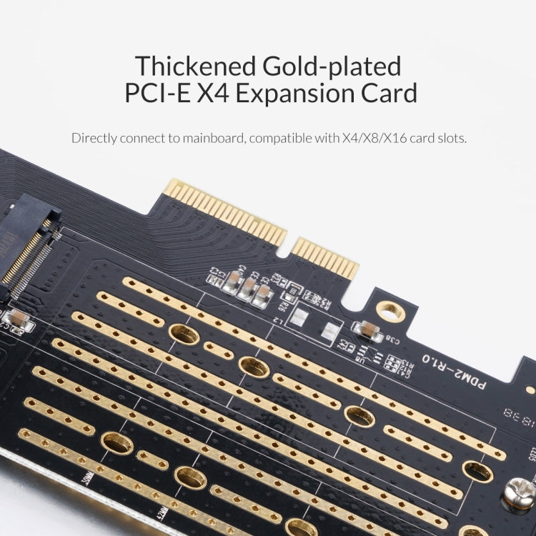 ORICO PDM2 การ์ดขยาย M.2 NVME เป็น PCI-E 3.0 X4