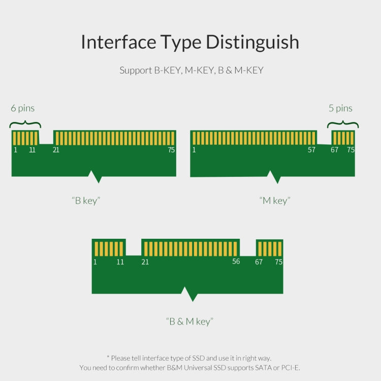ORICO PDM2 การ์ดขยาย M.2 NVME เป็น PCI-E 3.0 X4