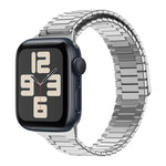 สายรัดนาฬิกา Bamboo Magnetic Stainless Steel Metal สำหรับ Apple Watch SE 2023 44mm, สำหรับ Apple Watch SE 2023 40mm, สำหรับ Apple Watch Ultra 2 49mm, สำหรับ Apple Watch Series 9 45mm, สำหรับ Apple Watch Series 9 41mm, สำหรับ Apple Watch Ultra 49mm