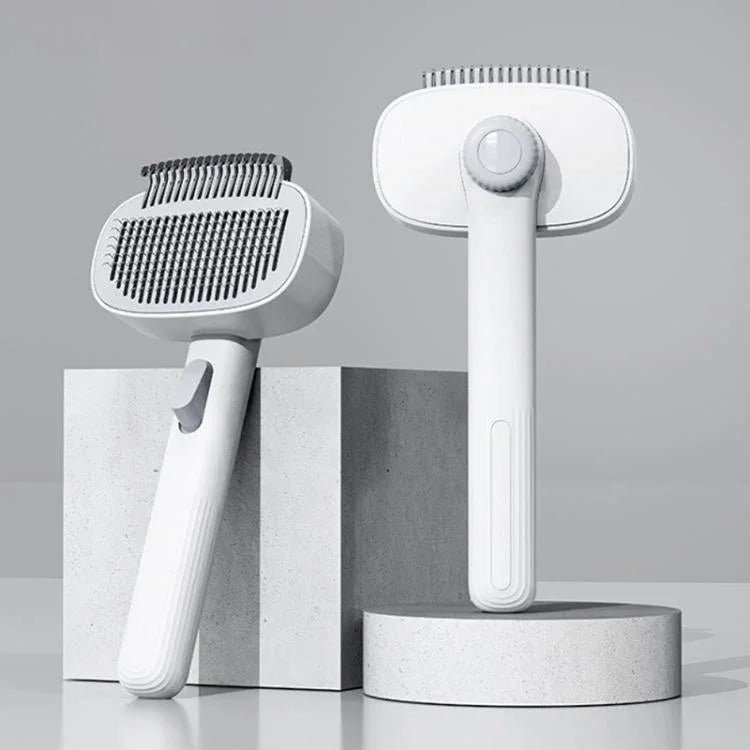 نص بديل للصورة