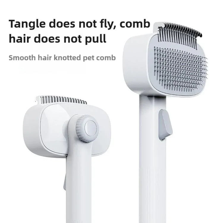 نص بديل للصورة