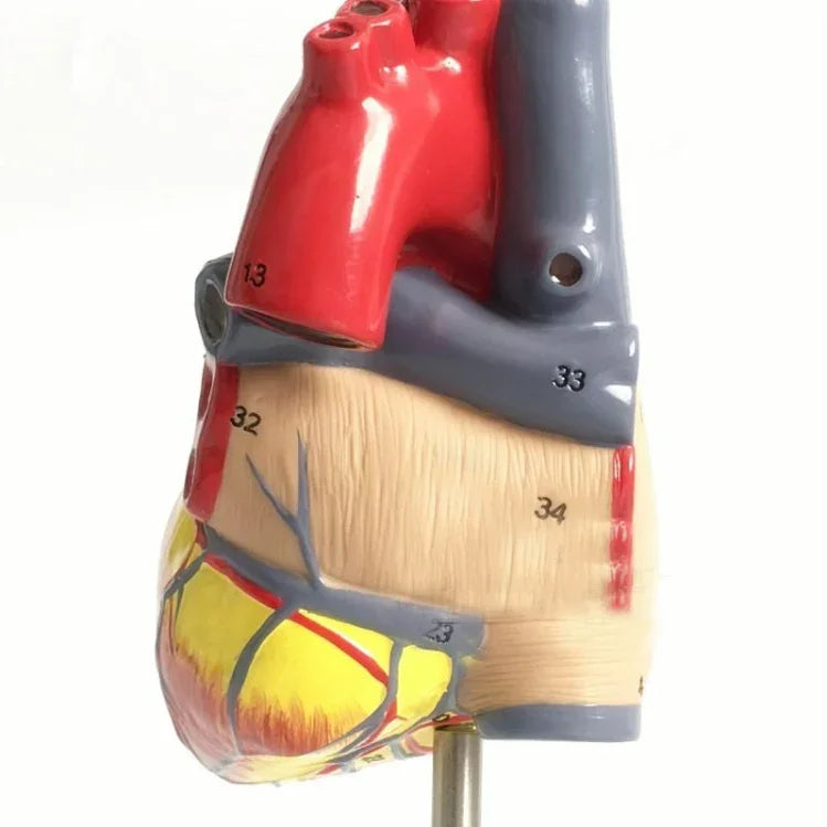 ข้อความอธิบายรูปภาพ