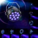 ไฟเลเซอร์เวที Parlight สีม่วง LED, ปลั๊ก US, ปลั๊ก EU