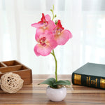 Decorative Landscaping Round Pot Three Flowers Phalaenopsis Bonsai Simulation Potted Plants