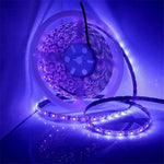 ไฟแถบ LED SMD 2835 UV สีม่วง, ไฟประดับ, กันน้ำ 5m, กันน้ำ 10m, แผงเปล่า 5m, แผงเปล่า 10m