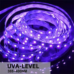 ไฟแถบ LED SMD 2835 UV สีม่วง, ไฟประดับ, กันน้ำ 5m, กันน้ำ 10m, แผงเปล่า 5m, แผงเปล่า 10m