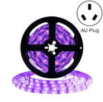 ไฟแถบ LED SMD 2835 UV สีม่วง, ไฟประดับ, กันน้ำ 5m, กันน้ำ 10m, แผงเปล่า 5m, แผงเปล่า 10m