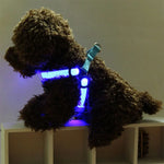 สายจูงฮาร์เนสไนลอนสำหรับแมวและสุนัข พร้อมไฟ LED สองด้าน ขนาด S, M
