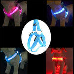 สายจูงฮาร์เนสไนลอนสำหรับแมวและสุนัข พร้อมไฟ LED สองด้าน ขนาด S, M