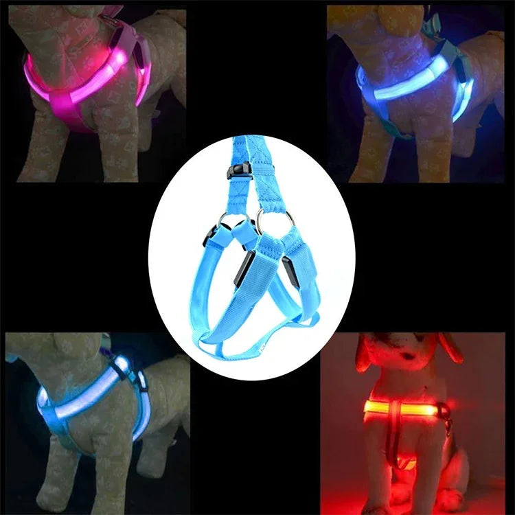 สายจูงฮาร์เนสไนลอนสำหรับแมวและสุนัข พร้อมไฟ LED สองด้าน ขนาด S, M