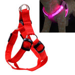 สายจูงฮาร์เนสไนลอนสำหรับแมวและสุนัข พร้อมไฟ LED สองด้าน ขนาด S, M