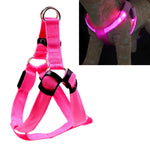 สายจูงฮาร์เนสไนลอนสำหรับแมวและสุนัข พร้อมไฟ LED สองด้าน ขนาด S, M