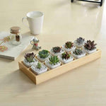 กล่องเก็บไม้ตกแต่งสวนภูมิทัศน์สำหรับต้นไม้ล้มลุก, 10 ช่อง