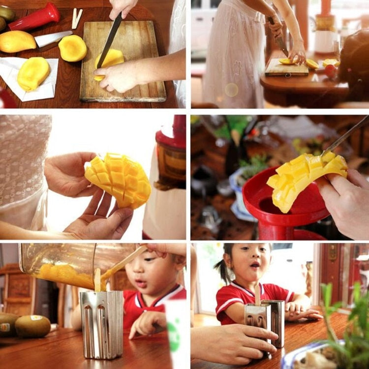 แม่พิมพ์ไอศกรีม DIY สแตนเลส สำหรับทำไอศกรีมแท่งในบ้าน หัวแบน 6 ช่องคู่, หัวกลม 6 ช่องคู่, หัวแบน 3 หัวและหัวกลม 3 หัว ช่องคู่, ถ้วยแตงโม 6 ช่องคู่