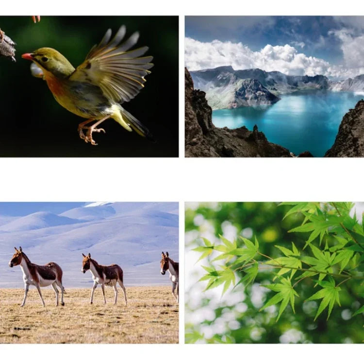 ข้อความอธิบายรูปภาพ