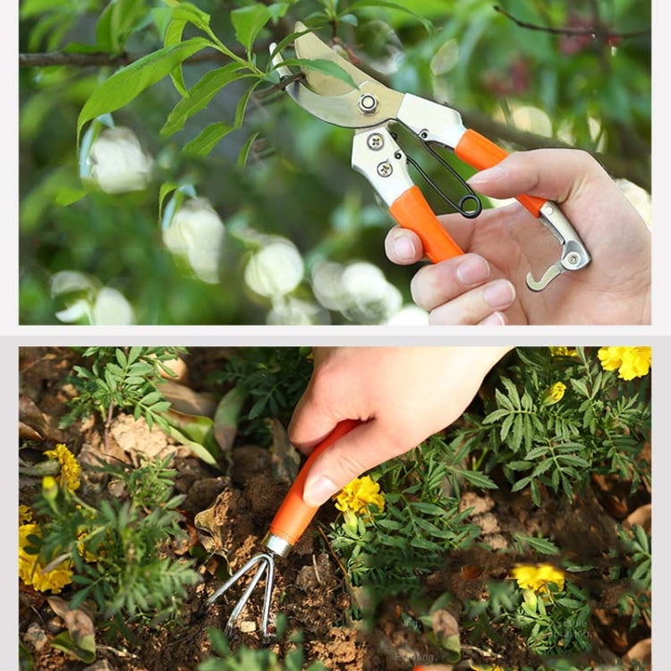 ชุดเครื่องมือฮาร์ดแวร์ 10-in-1 สำหรับสวนและดอกไม้ ชุดเครื่องมือสวนและดอกไม้