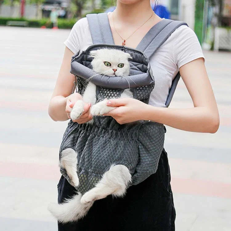 ข้อความอธิบายรูปภาพ