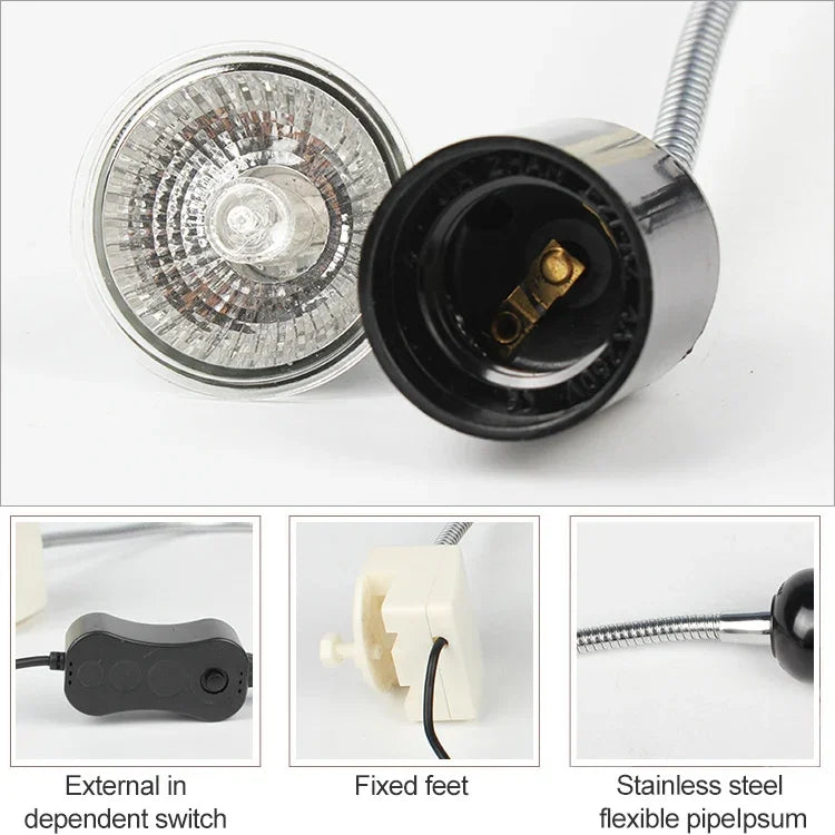 ข้อความอธิบายรูปภาพ