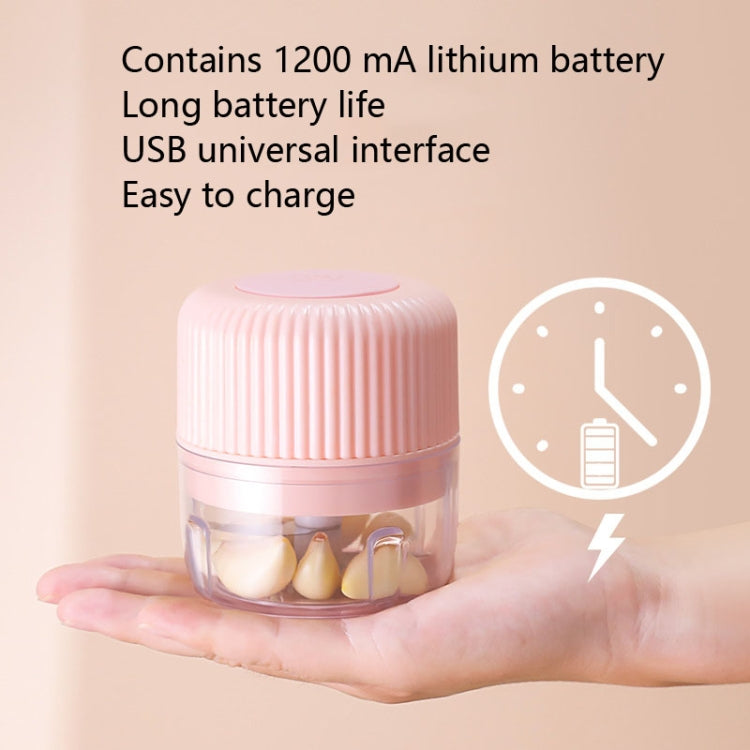 เครื่องบดผักไฟฟ้าสำหรับครัวเรือน USB เครื่องบดกระเทียมขนาดเล็ก เครื่องทำอาหารเสริมสำหรับเด็ก ขนาด 250 มล., 100 มล. + 250 มล., 100 มล.
