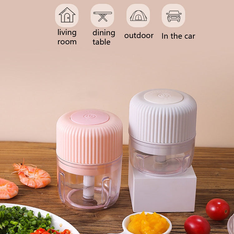 เครื่องบดผักไฟฟ้าสำหรับครัวเรือน USB เครื่องบดกระเทียมขนาดเล็ก เครื่องทำอาหารเสริมสำหรับเด็ก ขนาด 250 มล., 100 มล. + 250 มล., 100 มล.
