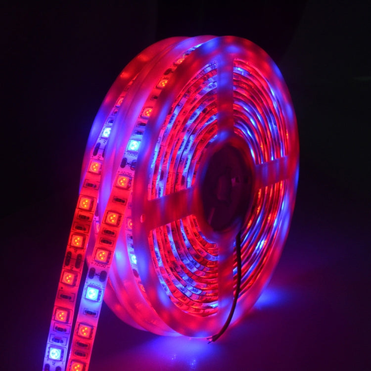 ไฟ LED SMD 5050 300 ดวง 5m สเปกตรัมเต็ม Fitolampy Grow Lights สำหรับเรือนกระจก ปลูกพืชไฮโดรโพนิกส์ กันน้ำ