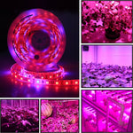 5m 300 LEDs SMD 5050 Full Spectrum LED Strip Light Fitolampy Grow Lights for Greenhouse Hydroponic Plant, Waterproof