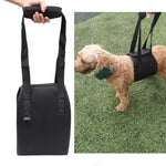 HCPET F1905 สายรัดช่วยเดินสำหรับสุนัขพิการ สุนัขผู้สูงอายุ ขนาด S, M, L