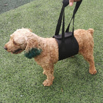 HCPET F1905 สายรัดช่วยเดินสำหรับสุนัขพิการ สุนัขผู้สูงอายุ ขนาด S, M, L