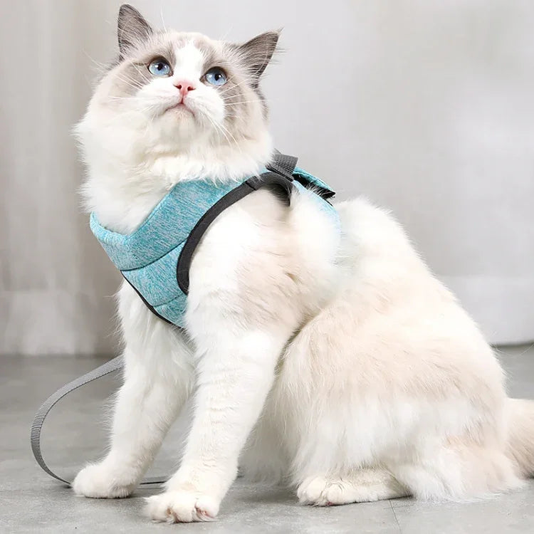 สายจูงแมว พร้อมสายรัดอก ขนาด S
