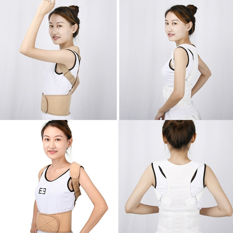 เข็มขัดแก้ไขท่าทางหลังผู้ใหญ่ เข็มขัดดามแก้ไขกระดูกคด, S, M, L, XL, XXL