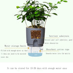Transparent Plastic Double-Layer Water Storage Automatic Water-Absorbing Flowerpot, A703 Caliber 8.2cm, A705 Caliber 10.5cm, A707 Caliber 15.3cm, A709 Caliber 23.5cm