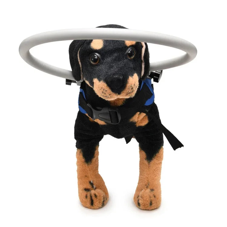 Dog Blindness Anti-Collision Ring Animal Protection Ring Cover Guide Ring, S, M