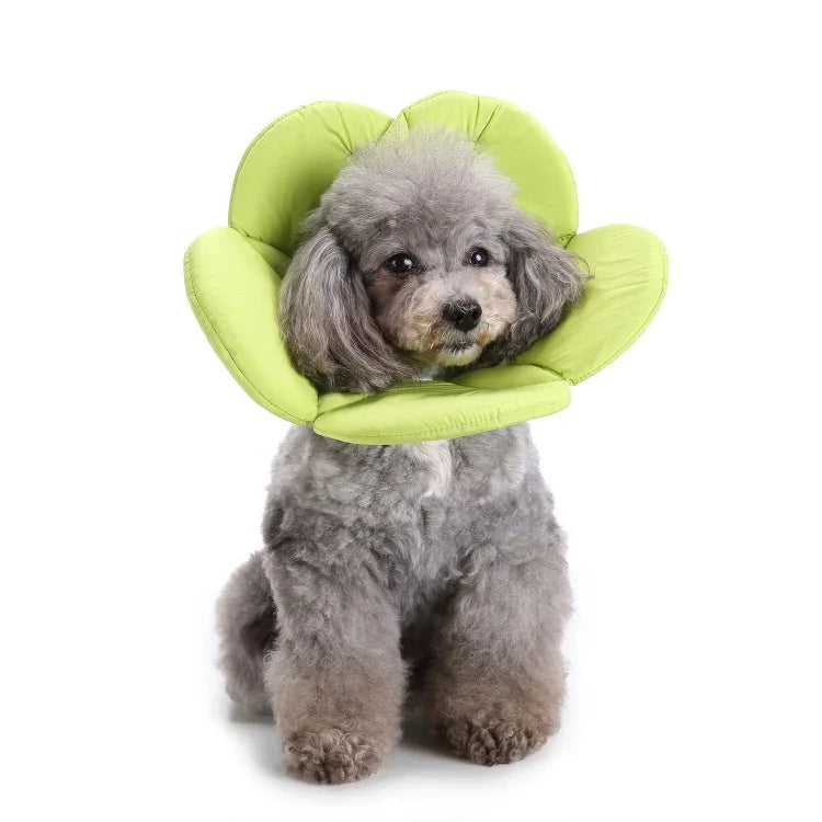 Pet Protection Collar Dog Flower Protection Collar, S, M, L
