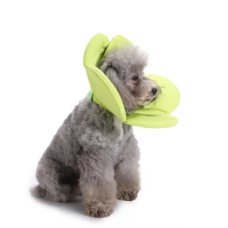 Pet Protection Collar Dog Flower Protection Collar, S, M, L