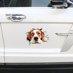 Personality Puppy 3D Car Stickers Waterproof Car Body Block Scratches Simulation Stickers