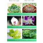 ไฟปลูกต้นไม้ LED สเปกตรัมเต็ม, 10w เจาะรู 80mm, 15w เจาะรู 95mm, 20w เจาะรู 120mm, 30w เจาะรู 150mm, 35w เจาะรู 150mm, 40w เจาะรู 150mm