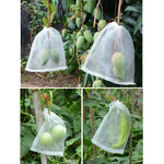 ถุงตาข่ายไนลอนกันแมลงและนกสำหรับผลไม้และผัก, ขนาด: 70x48 ซม., 25x25 ซม., 45x15 ซม., 70x48 ซม., 30x25 ซม.