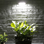 ไฟผนังโซลาร์เซลล์สวนกลางแจ้ง 8 หลอด LED ตรวจจับอินฟราเรด, แสงขาว, แสงอุ่น