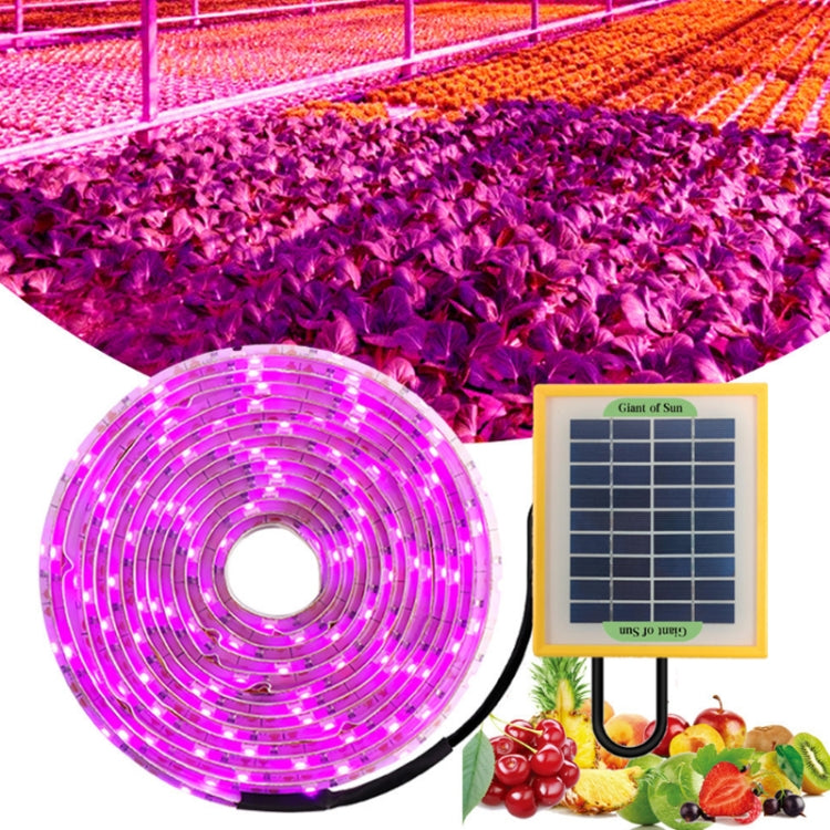 ไฟเติมพืช LED สเปกตรัมเต็มสำหรับการเจริญเติบโตของพืช