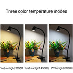 668A001 โคมไฟตั้งโต๊ะสาย USB งอได้ 360 องศา, สเปค:, สีขาว ปรับความสว่างแบบไม่มีขั้นบันได, สีดำ ปรับความสว่างแบบไม่มีขั้นบันได, สีขาว ปรับความสว่างสองระดับ, สีดำ ปรับความสว่างสองระดับ