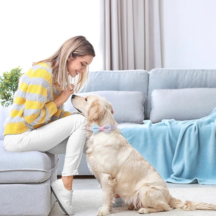 ปลอกคอสัตว์เลี้ยงแบบถอดโบว์ได้ หัวเข็มขัดสีโรสโกลด์ ขนาด: S 1.5x28-40 ซม., M 2.0x33-50 ซม., L 2.5x38-60 ซม., XL 2.5x43-70 ซม.