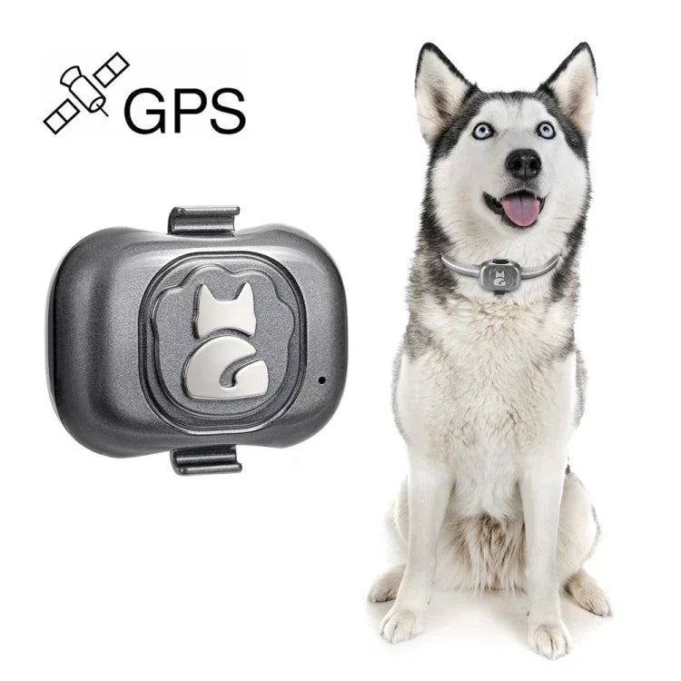 G16 เครื่องติดตาม GPS สัตว์เลี้ยง ปลอกคออัจฉริยะกันน้ำ IP67 ป้องกันการสูญหาย สำหรับสุนัข แมว, G16 เครื่องติดตาม GPS สัตว์เลี้ยง